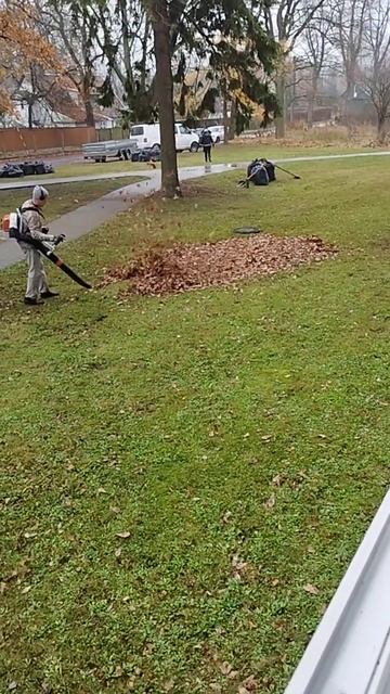 Уборка листьев