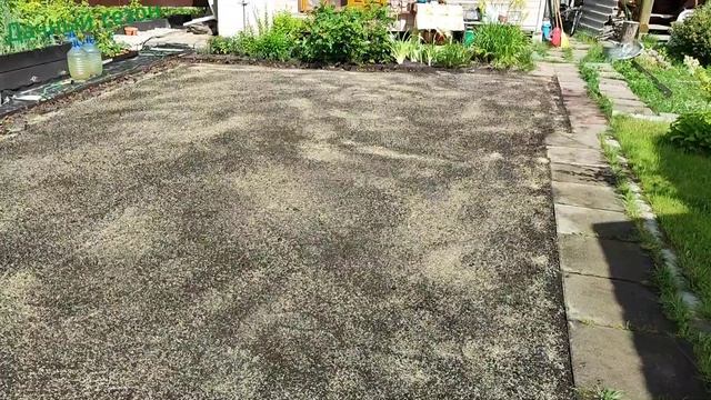 Посеяли газон в проливные дожди #дачныйсезон #газон смотреть онлайн