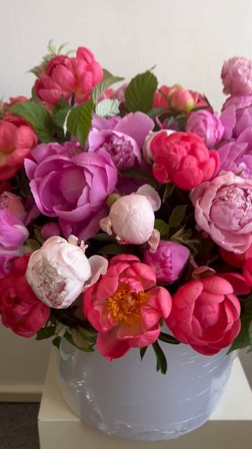 Пионы доставка Москва смотреть онлайн