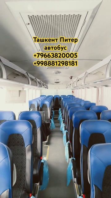 Ташкент Питер автобус #питер #санктпетербург #ташкент смотреть онлайн