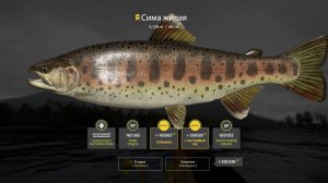 НОВАЯ СУПЕР ТОЧКА С БЕШЕННЫМ ФАРМОМ НА МАТЧИ И МЫШЬ НА ЯМЕ В РУССКОЙ РЫБАЛКЕ 4 РР4