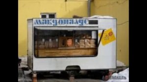 Свидетель из Фрязино