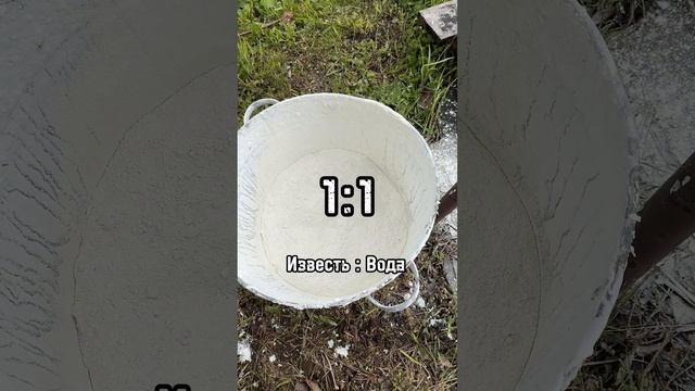 как быстро побелить деревья смотреть онлайн