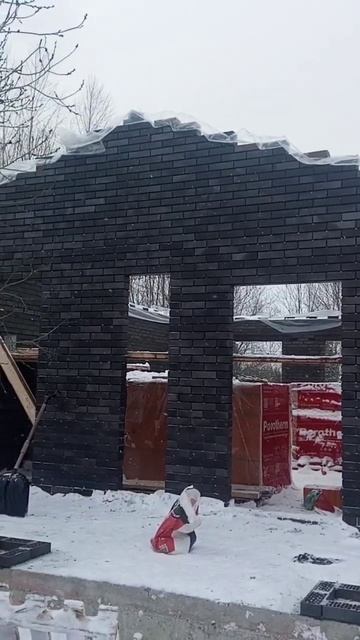 Облицовочная кладка из кирпича BRAER 34.03 M.Одноэтажный до смотреть онлайн