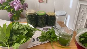 1.КАК ВЫГЛЯДИТ СНЫТЬ ТРАВА,ФЕРМЕНТАЦИЯ СНЫТИ