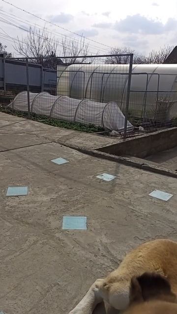 Жара в апреле. смотреть онлайн