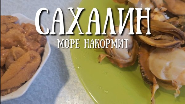 Сахалин - шторм , собираем морепродукты море накормит