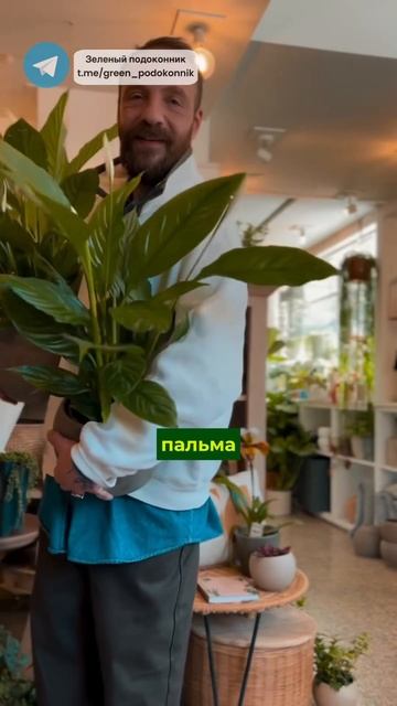 Лучшие растения для спальни 💚 #цветы #plants #сад #дача #о? смотреть онлайн