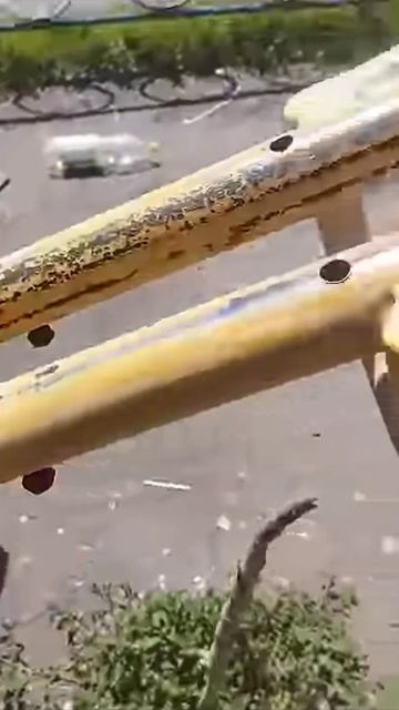 Самые лучшие качели в мире. смотреть онлайн