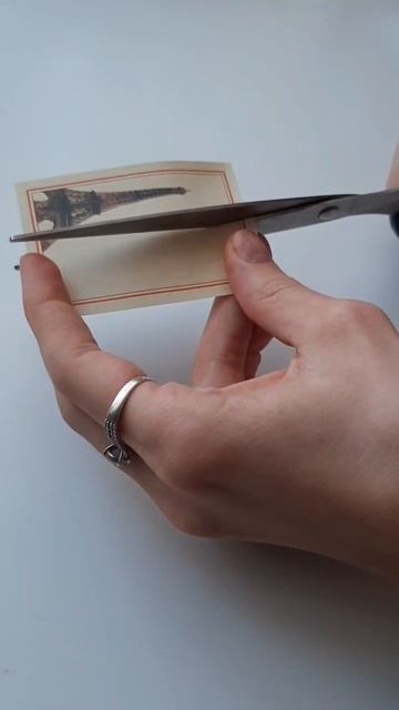 День комнатных растений #shorts #asmr #творчество #diy #scrapbookin смотреть онлайн