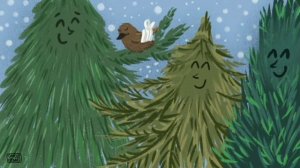 Почему сосна и ель вечно зелёные. (малышам). Чувашская ?