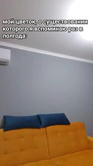 у меня засох даже кактус😫 #домашниерастения #растени? смотреть онлайн