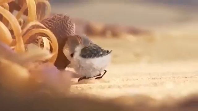 Главное - поверить в себя! смотреть онлайн