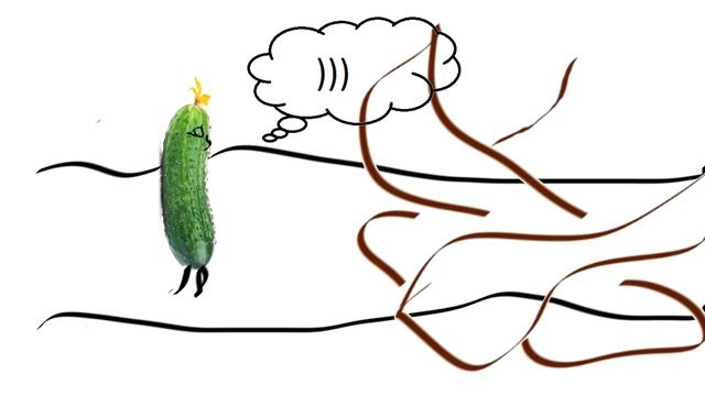 ОГУРЕЦ ИГНАТ смотреть онлайн