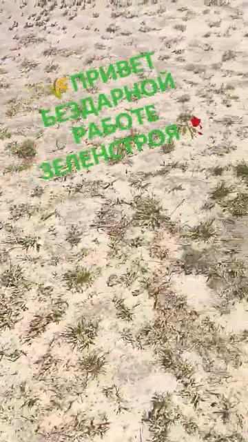 🌾ЗЕЛЕНСТРОЙ СНОВА В ДЕЛЕ 🥀 #старыйоскол #зеленстрой смотреть онлайн