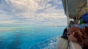 Бюджетные Мальдивы:  Plumeria Maldives на острове Thinadhoo (Тинаду