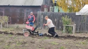 Купили мотоблок Ока. Пробуем осеннюю вспашку огорода ?
