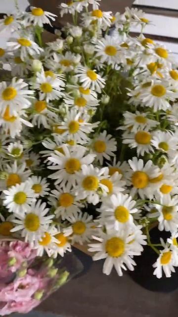 Срезка 19 июля, садовые цветы, букеты от 400₽ смотреть онлайн