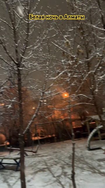 Алматы сегодня и сейчас 🥰🥰🥰🔥 ❄️❄️❄️ #алматы #ал смотреть онлайн