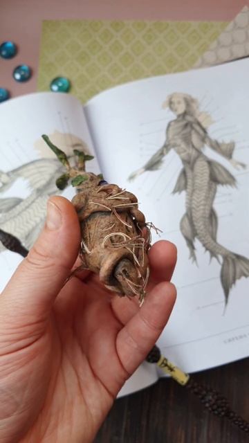 Волшебный корешок #мандрагора #harrypotter #интерьернаяигр? смотреть онлайн