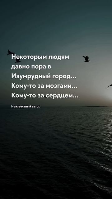 В Изумрудный город Мозг, интеллект и память - цитаты #ц? смотреть онлайн