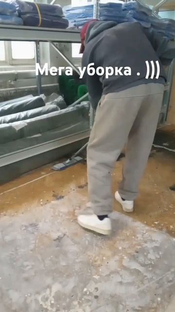 #приколы #приколы2024 #shorts . Ландыши там у них )))) смотреть онлайн