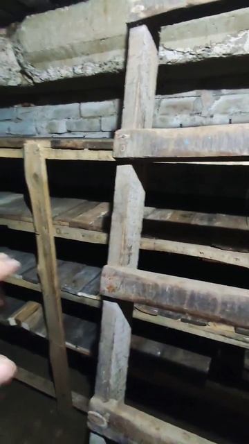 Подготовка подвала к зиме😌#shorts#ufermera смотреть онлайн