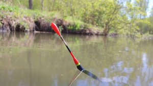 ВЕСЕННЯЯ РЫБАЛКА ПОПЛАВОЧНОЙ УДОЧКОЙ НА КАРПА И САЗАНА