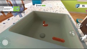 Я КОШКА ИГРА I AM CAT СИМУЛЯТОР КОТА  ПРОХОЖДЕНИЕ ОБЗОР на