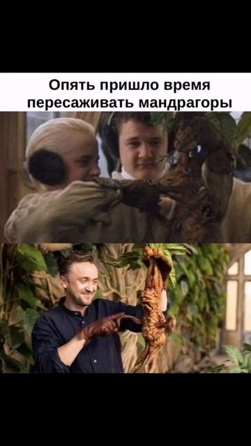 гарри поттер мемы мандрагора смотреть онлайн