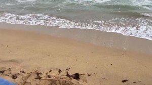 МАЗУТ НА ПЛЯЖАХ КРЫМА. ВСЯ ПРАВДА. ОШАЛЕЛ ОТ УВИДЕННОГ?