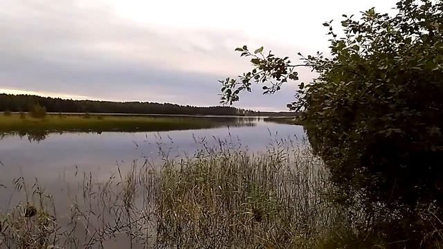 Это Карелия смотреть онлайн