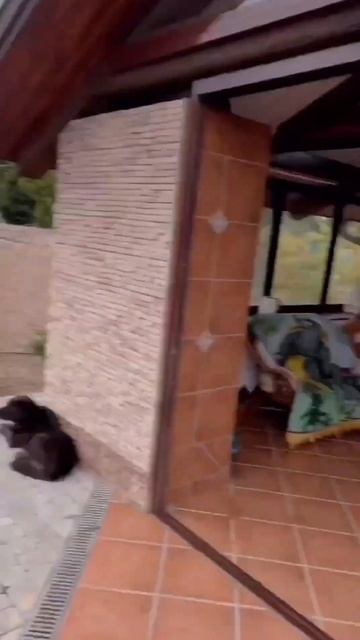 Лолита с мамой и дочкой на отдыхе в Болгарии #shorts #shortvide смотреть онлайн