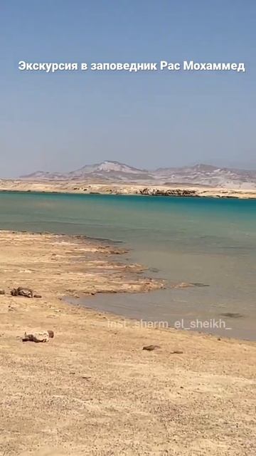 Экскурсии в Шарм Эль Шейх #египет #экскурсиишармэльше? смотреть онлайн
