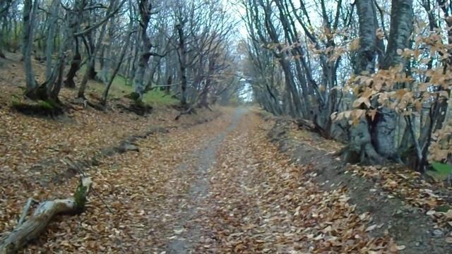 начало тропы КГО смотреть онлайн