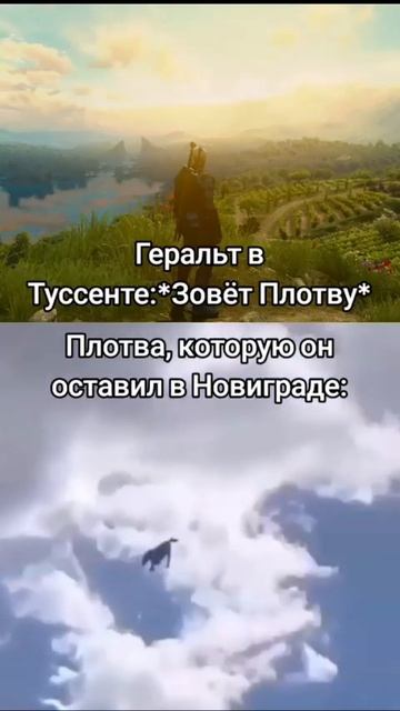 Ведьмак 3 и Плотва #приколы #ведьмак3 #плотва #геральт #игровыемемы #юмор #игровыеприколы #witcher смотреть онлайн