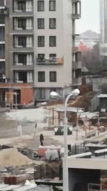 Там где росла 150 летняя ель поставили деревянные конст смотреть онлайн