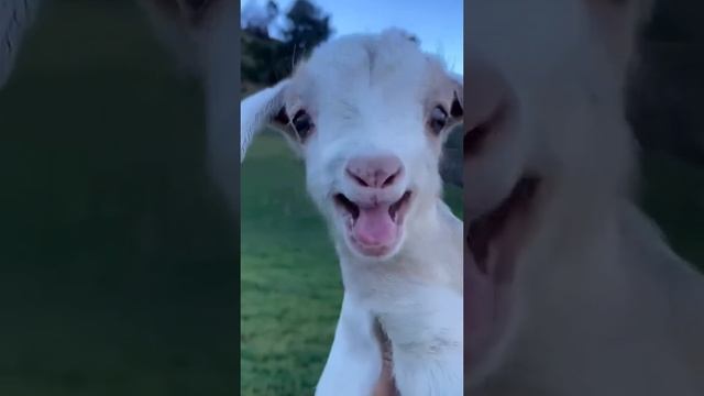 перекличке быть.mp4 смотреть онлайн