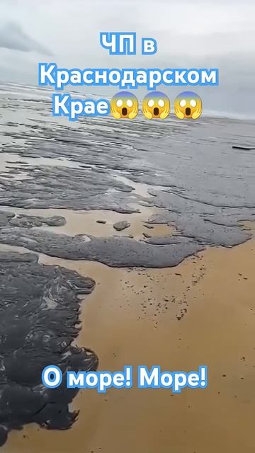 ЧП в Краснодарском крае. 😱 #море #shortvideo #туризм #travel #пу смотреть онлайн