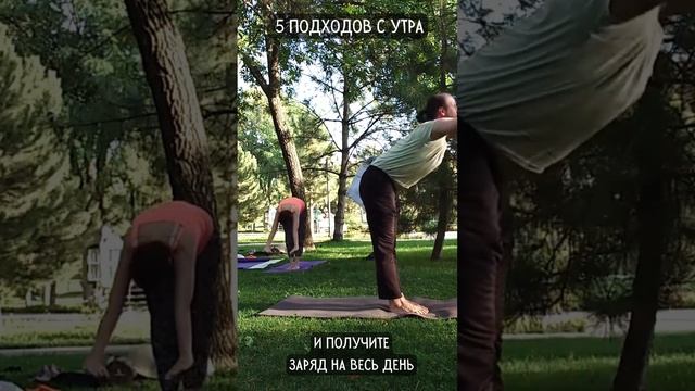 Шортс-йога | 5 подходов с утра и день удался смотреть онлайн