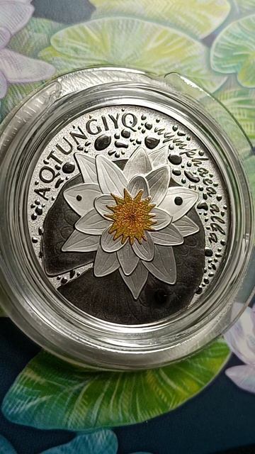 Кувшинка Белая. Новинка от КМД. #numismatics #proof #coin смотреть онлайн