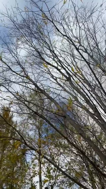 Ну всё в нашем МИРЕ идеально красиво #небо #облака #кра? смотреть онлайн