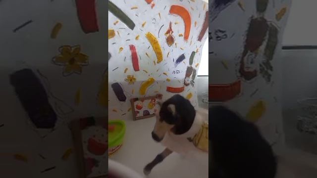 Жасмин 1 сезон 1 серия 😊 смотреть онлайн