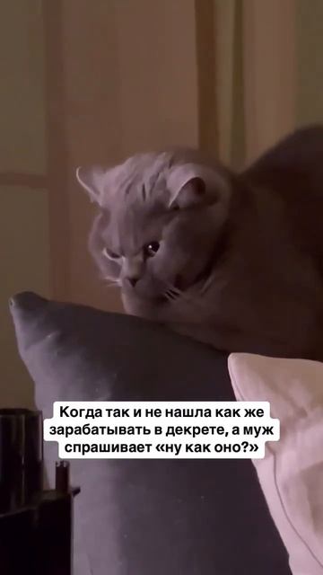 У нас есть решение 😉 авито и продажи на этой площадке смотреть онлайн
