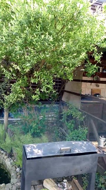 Деревянный дом 75м2 с баней, прудом, уютным садом на 3х с?