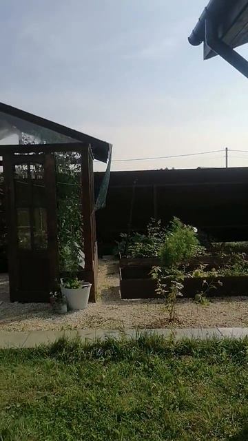 #сад #огород #беседка #теплица #дача смотреть онлайн