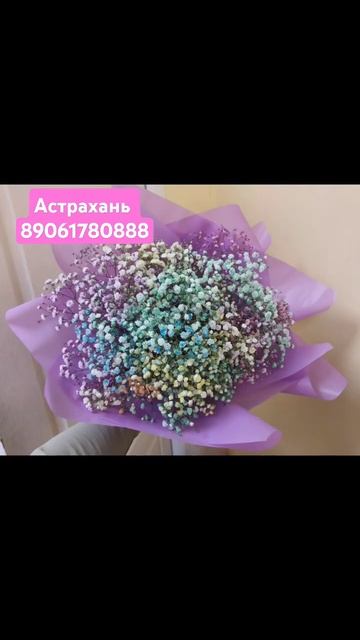 #Астрахань #гипсофилаастрахань #гипсофила #цветыастра смотреть онлайн