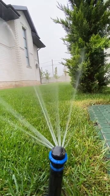 Автопалив газона #Автопалив #ландшафтныйдизайн #moskov #ru смотреть онлайн