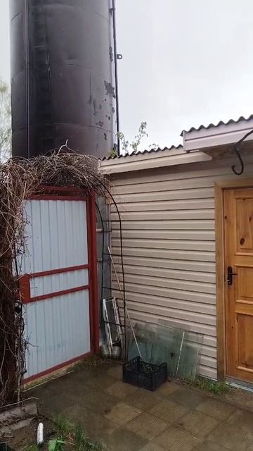 Второй залп дождя ☔ смотреть онлайн