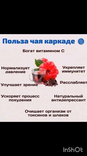 Каркаде - цветок гибискуса ; ) смотреть онлайн